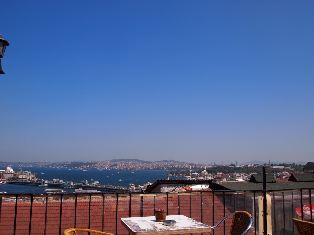 The view from Mimar Sinan Teras Cafe
