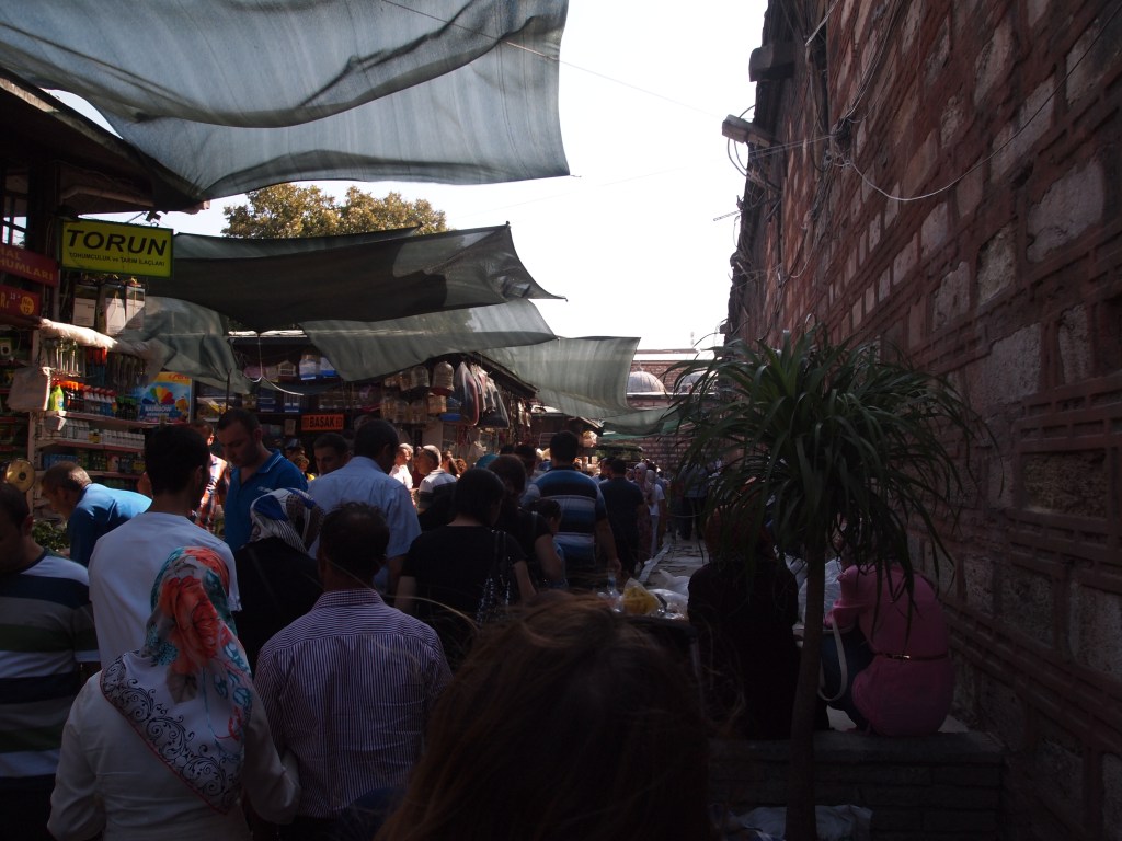 Made a stop at the bird and pet bazaar