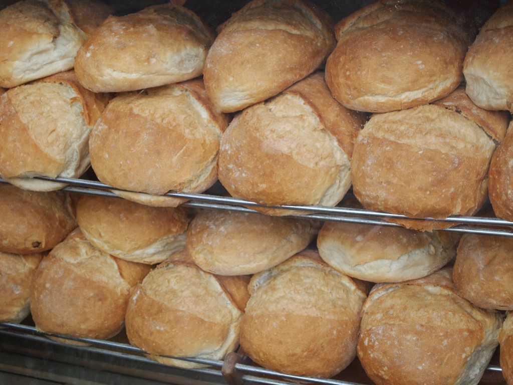 Beginning our early morning walk