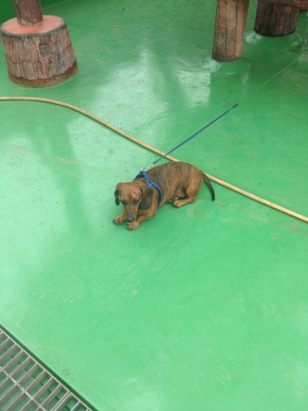 Hanging out on the roof 