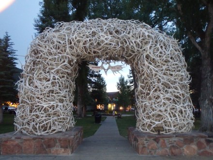Antler arch