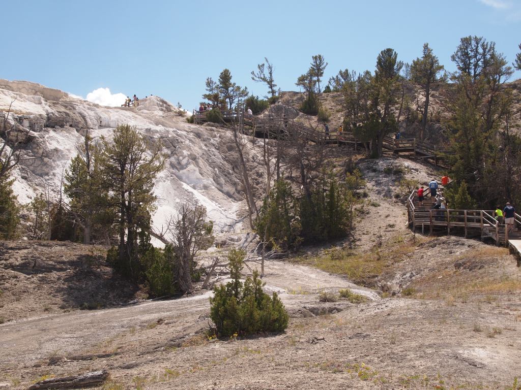 One of the boardwalks