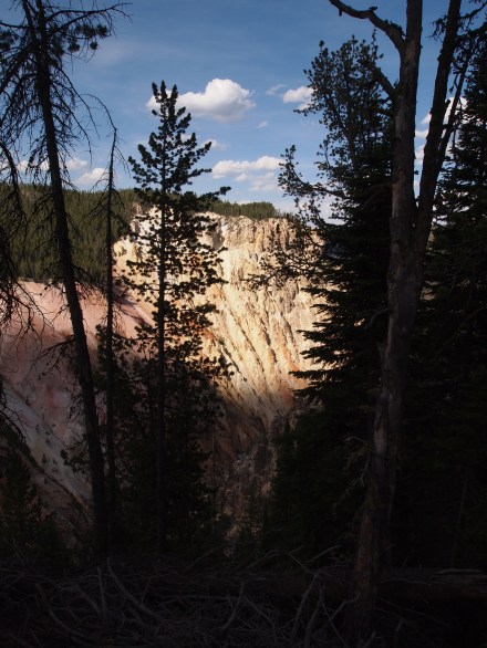 Grand Canyon of the Yellowstone