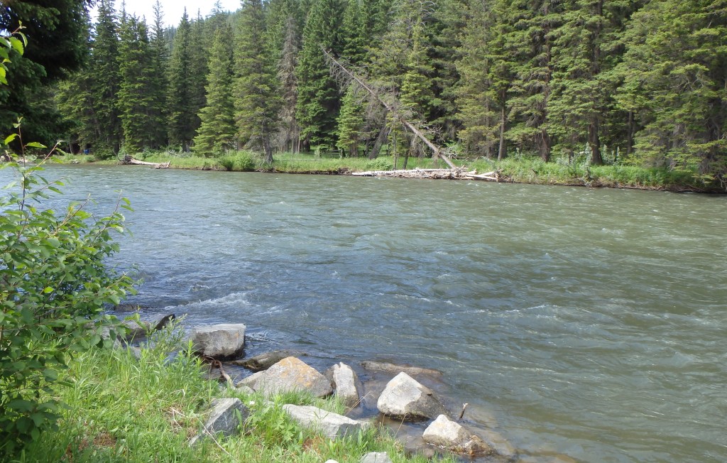 The Gallatin River