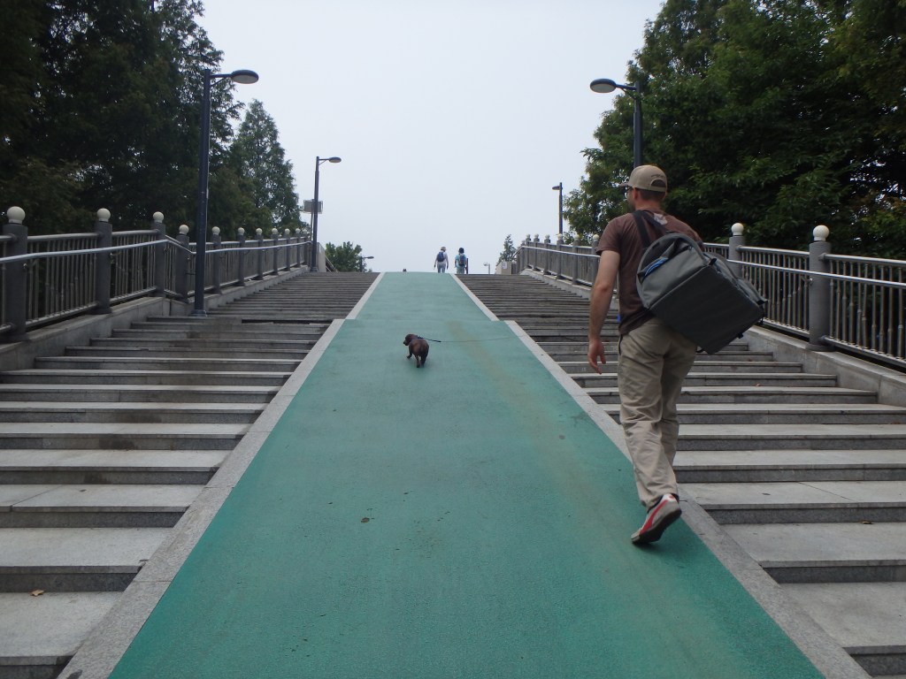 Going over to Ilsan Lake Park 