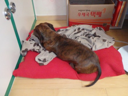 Truman settling into his area