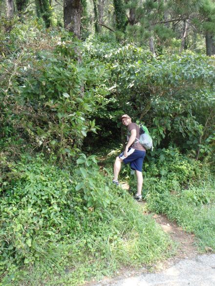 Uhh, I guess we go this way??