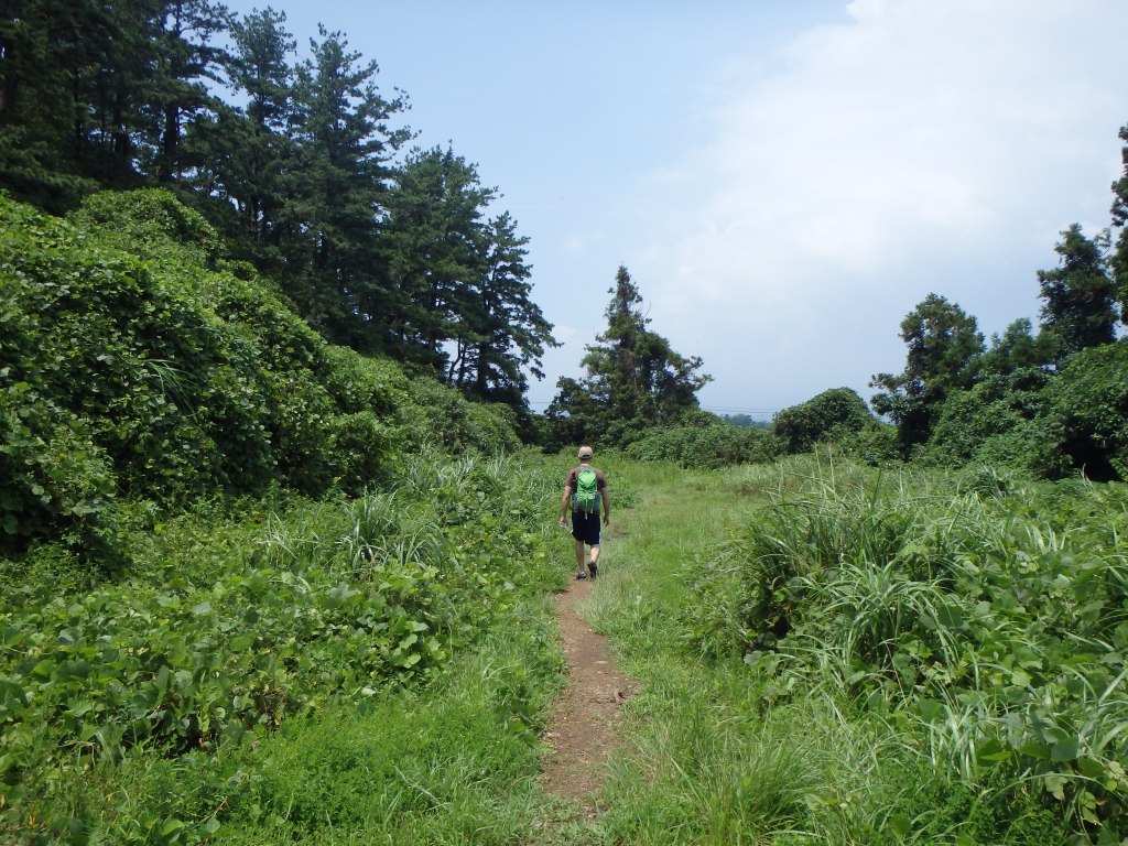 We thought we were done!