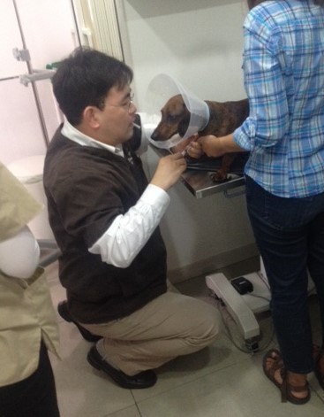 Getting his pain killer