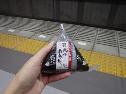 Our snacks for the train - awesome 7/11 onigiri and sushi 