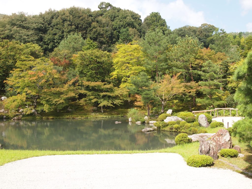 Gorgeous garden - I can tell it will be even more beautiful in the fall