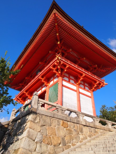 I did enjoy the bright colors