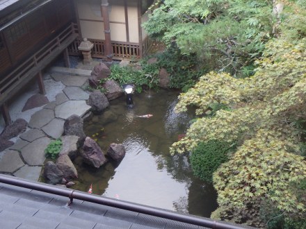 The koi pond below us 