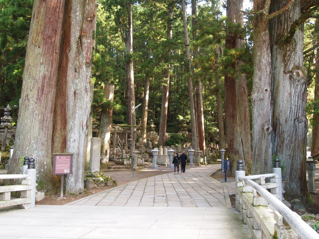 Crossing Ichi-no-hashi 