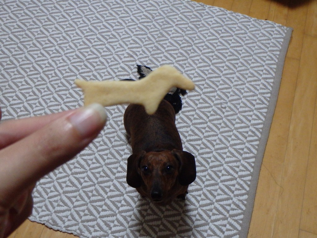 Dachshund-shaped dog treat!