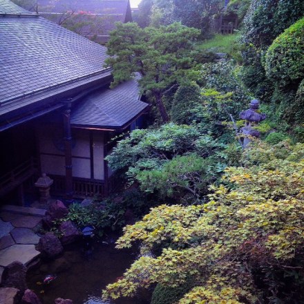 the view from our room 