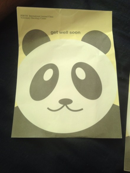 The cutest medication bags ever!