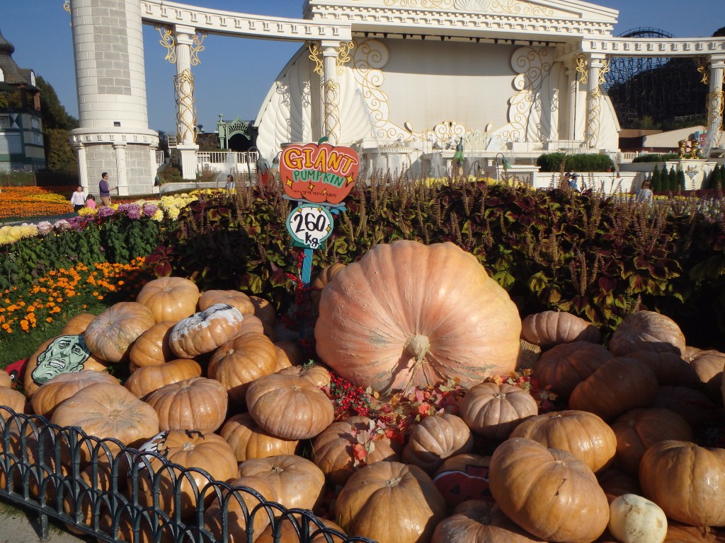 Big pumpkin!