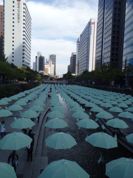 umbrellas suspended over the stream 