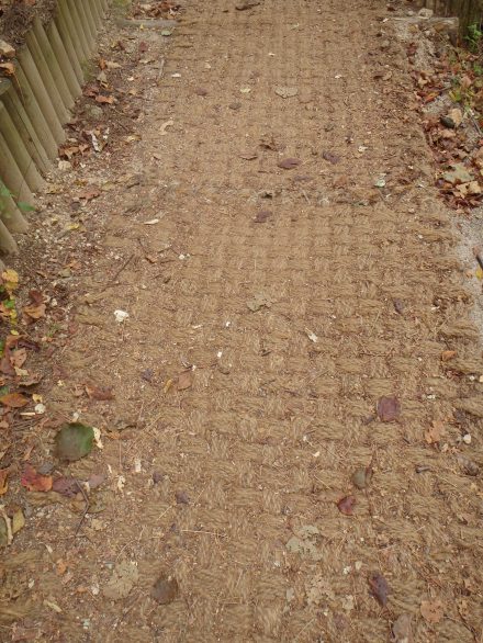 The trail became rope?