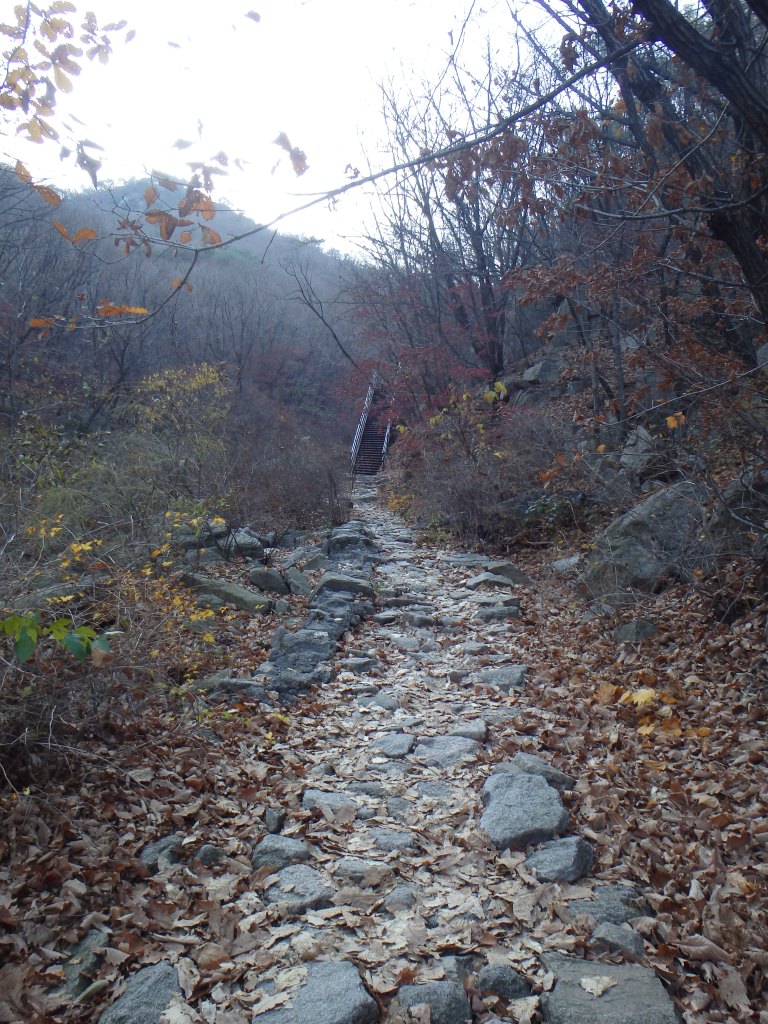 Are those stairs up ahead?!