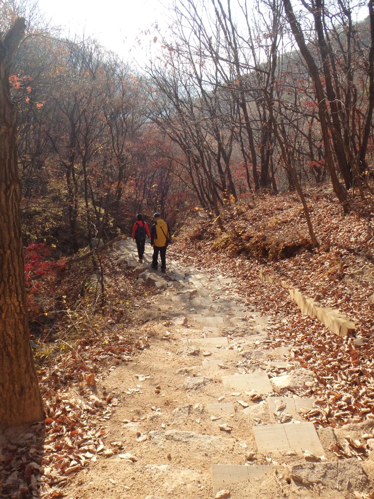 Steps down, down, down