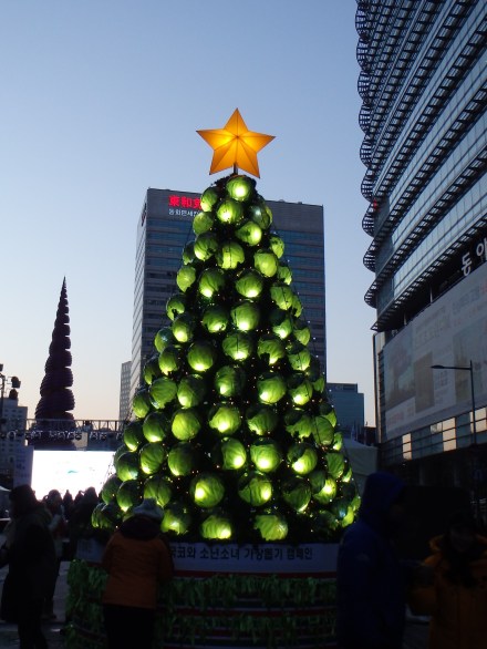 cabbage Christmas tree