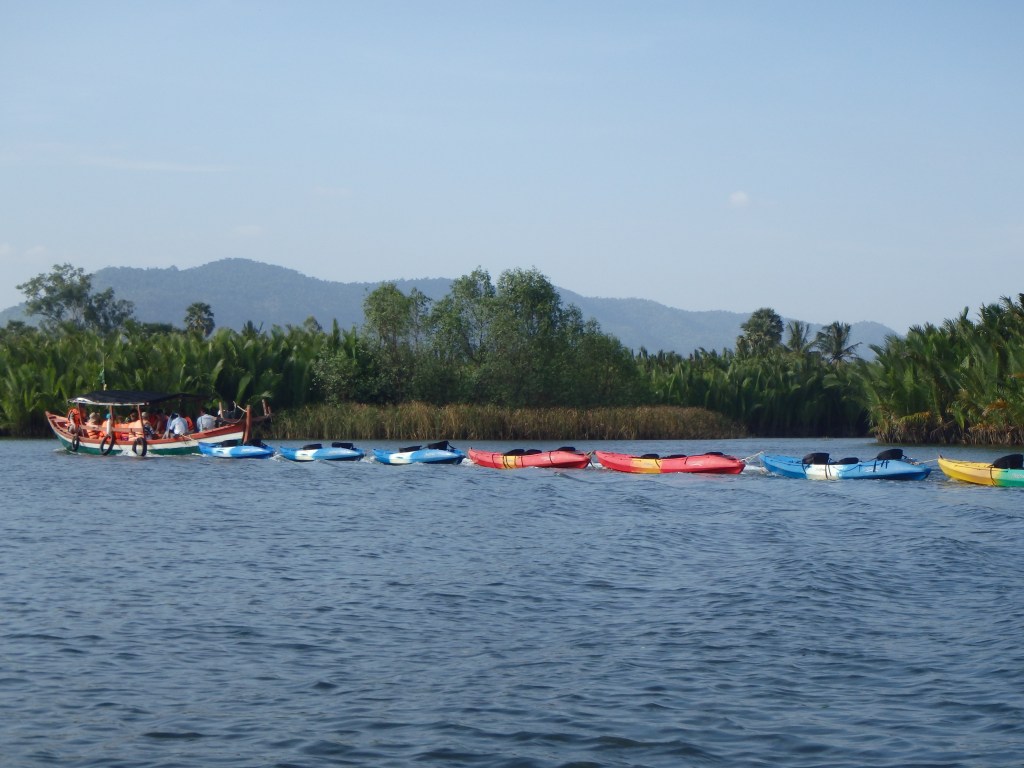 kayak flotilla