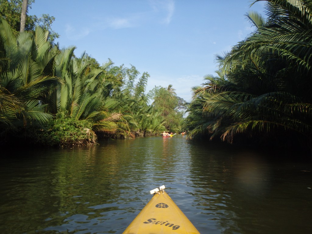 Starting the Green Cathedral