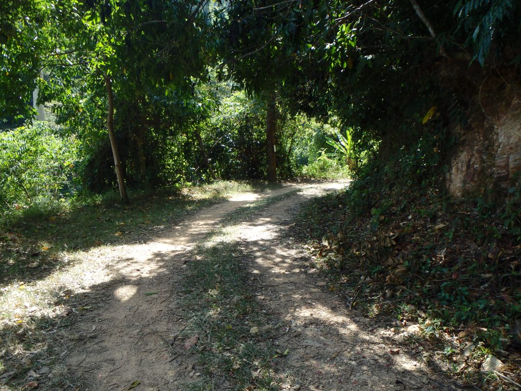 It was a very shady drive