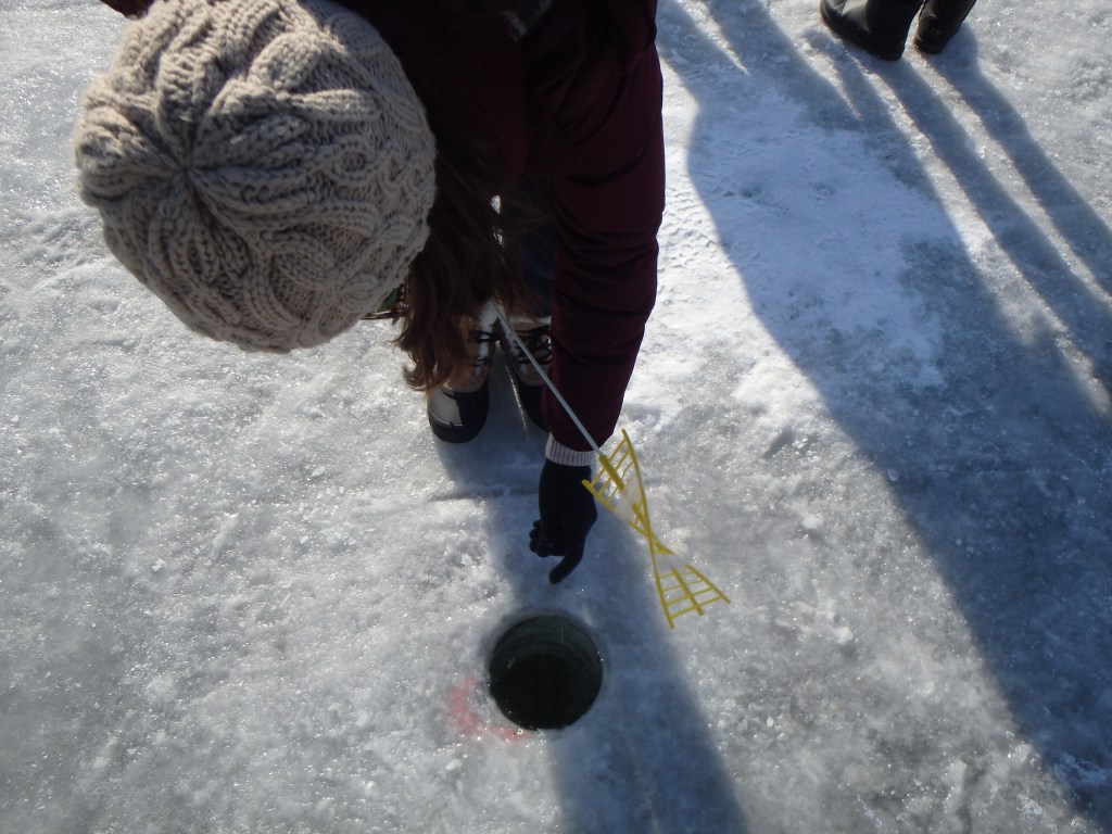 Watching fish swim by my hook 