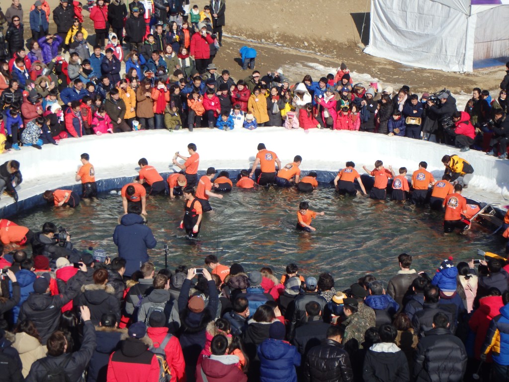 The contestants pinning the fish against the wall to pull them out 