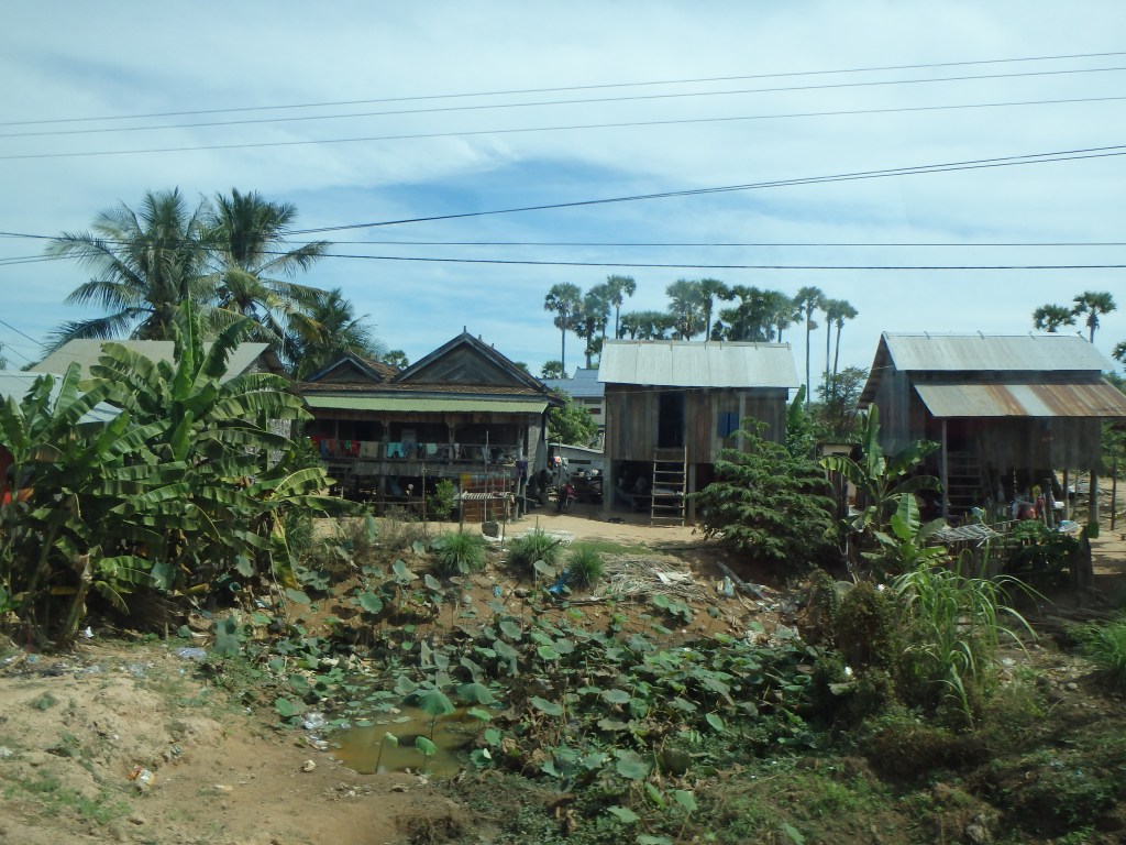 scenes from our drive