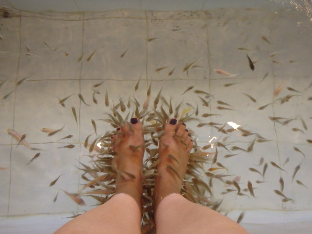 Fish pedicure!