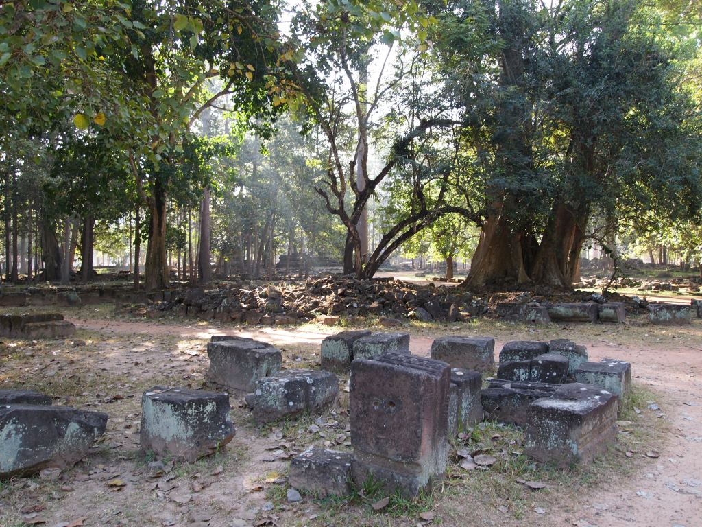 stones scattered in the grass that have yet to be put back in their place 