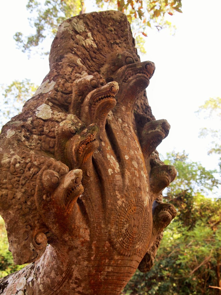 naga in detail - with all of its heads intact 