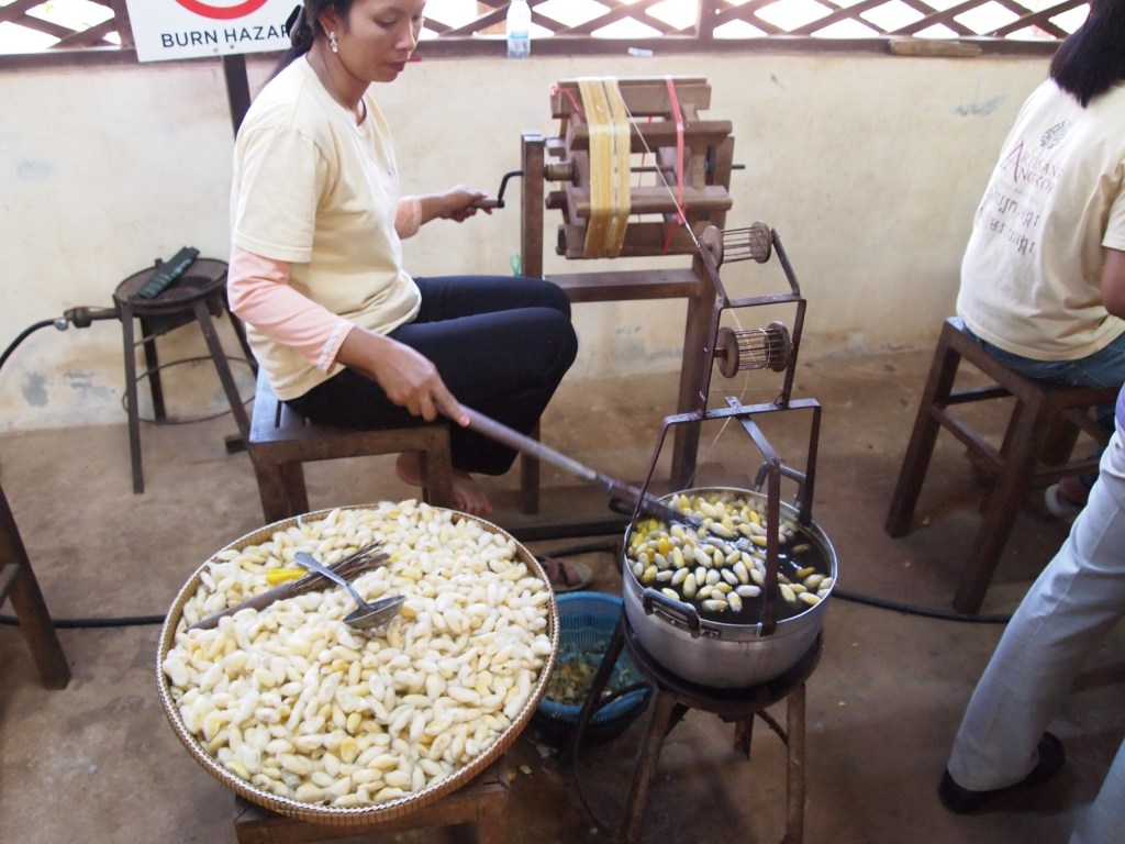 Now the cocoons are being unraveled and made into one stronger thread