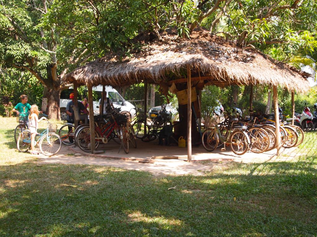 all the free bicycles for guests