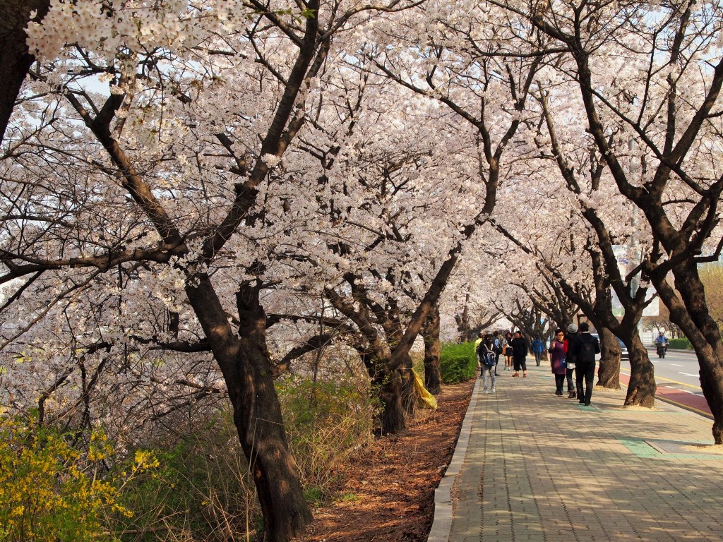 An almost empty sidewalk!