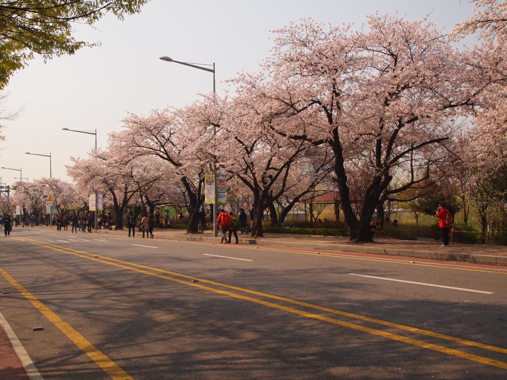 There still weren't too many people