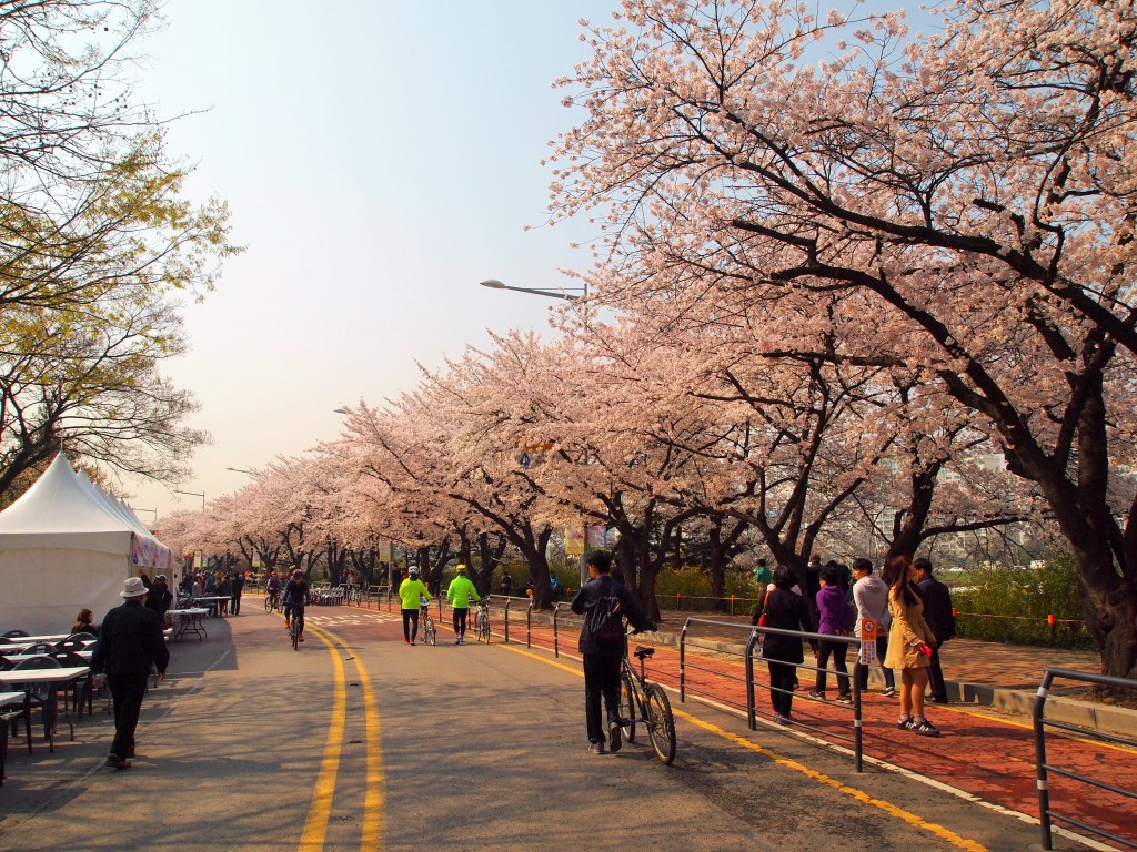 On this stretch there were several booths set up for the festival