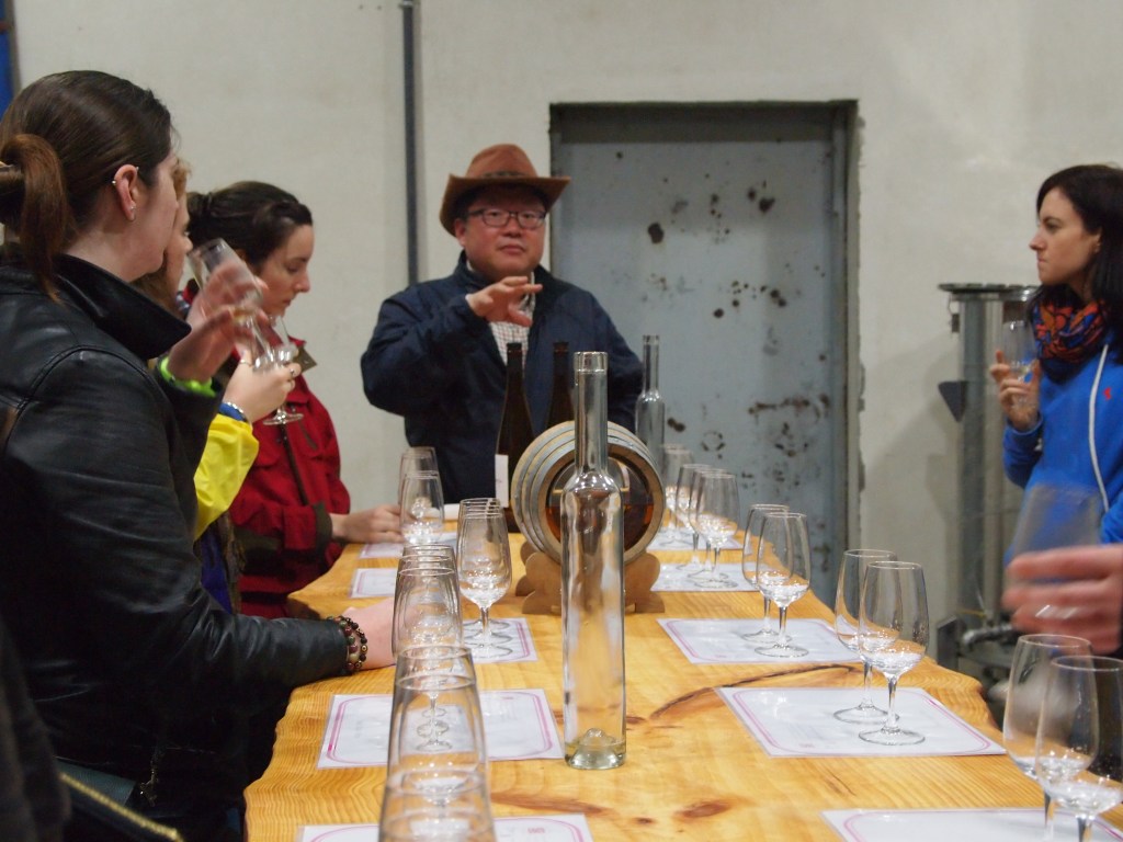 Tasting all the wines