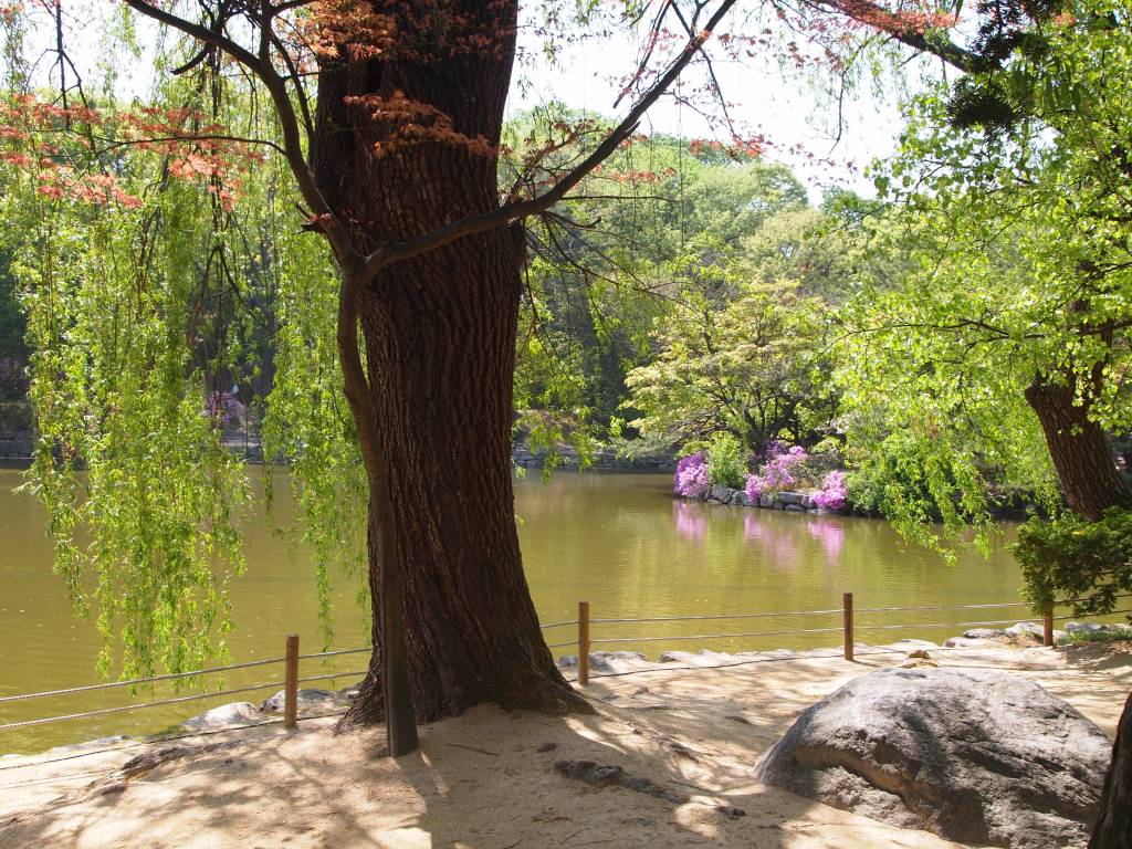 Chundangji Pond was once a royal farming plot but was replaced with a pond by the Japanese.