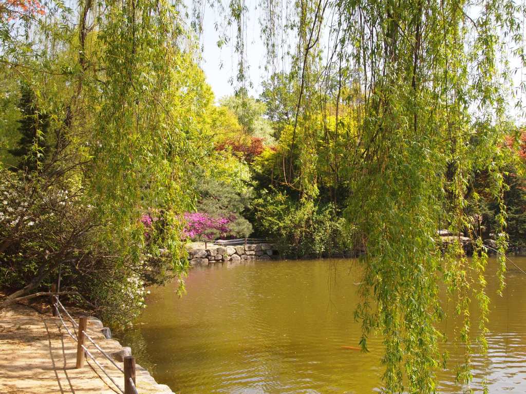 I thought the pond was really lovely.