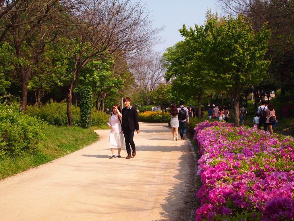 Wide walking/biking paths