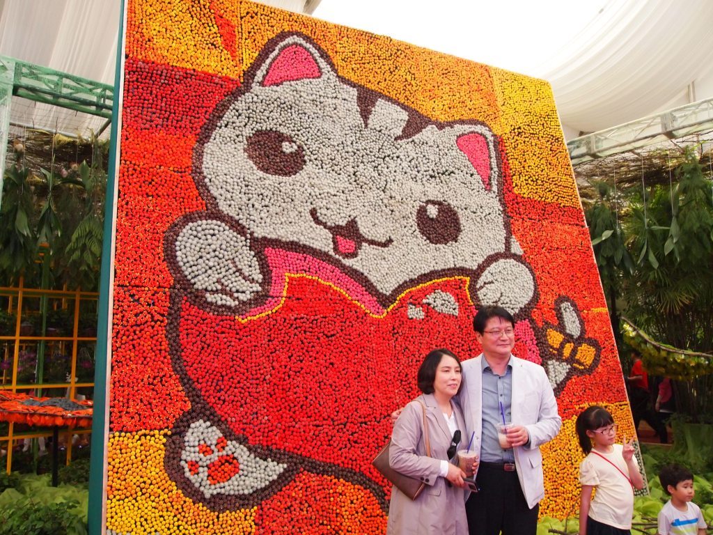 The perfect background for any occasion