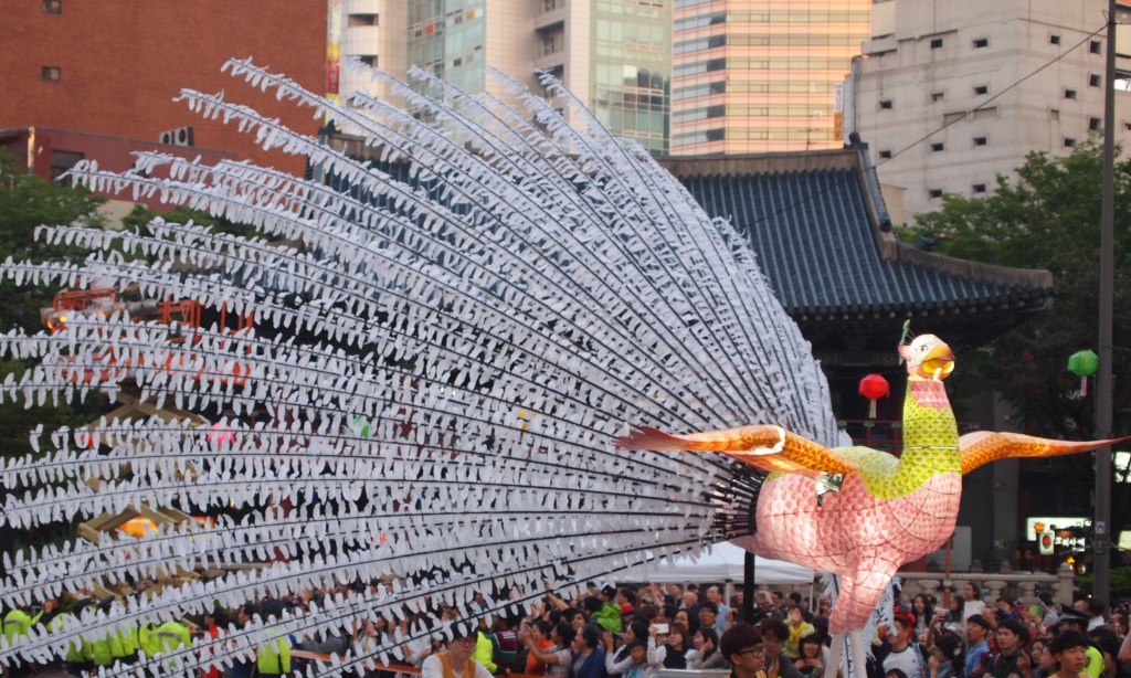 A really cool peacock