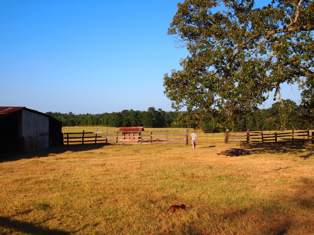 Hanging out on the Buie land 