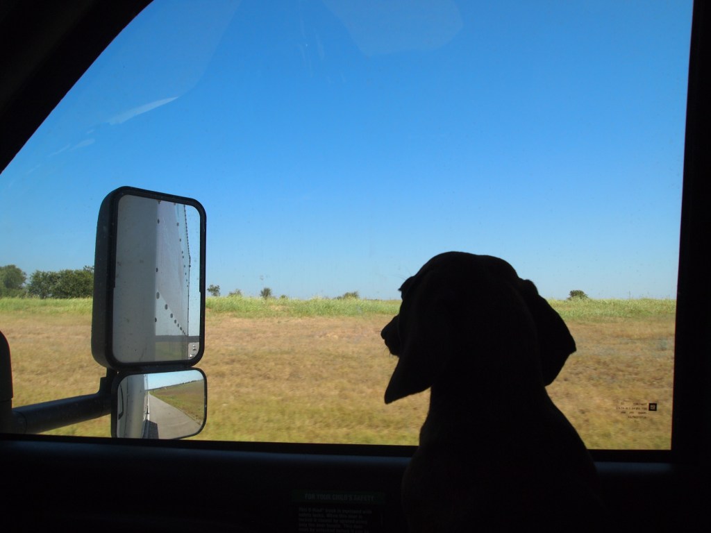 Tru ridin' in the Uhaul 