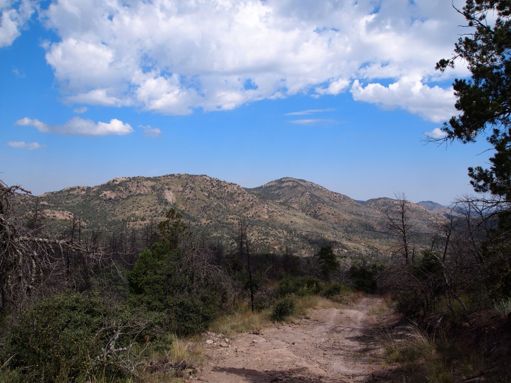 We both love the landscape in this part of Texas